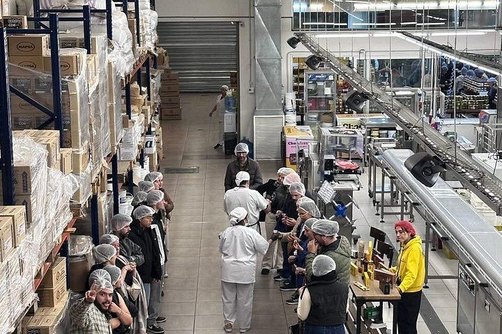 Maipú Small-Group Wine, Olive Oil and Chocolate Tour with Florio and Vistandes (7/12)