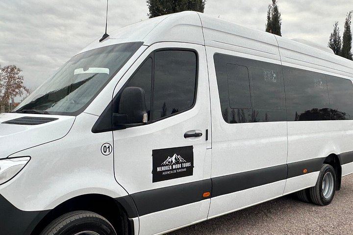 Maipú Small-Group Wine, Olive Oil and Chocolate Tour with Florio and Vistandes (3/12)