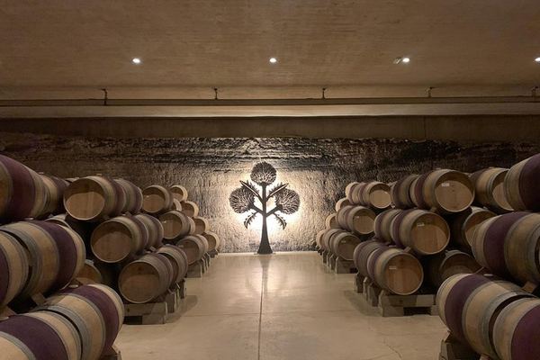 Rioja Alavesa Day Trip: Four Winery Tastings and Medieval Villages
