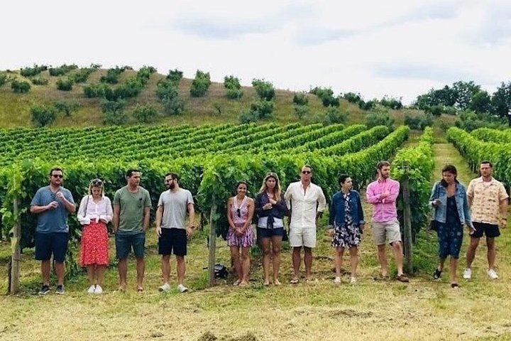 Pienza and Montepulciano Day Trip from Siena: Nobile Cellars, Cheese Farm Lunch, Minivan (6/12)