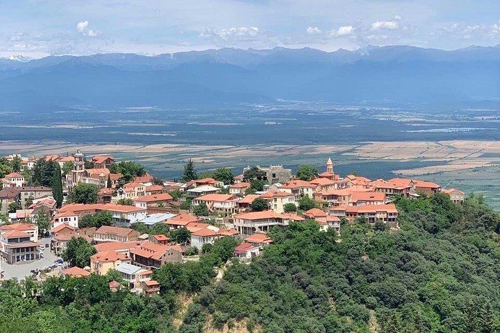 Kakheti Day Tour from Tbilisi: Family Wine Cellar, Bodbe, Sighnaghi and Shoti Bread (5/12)