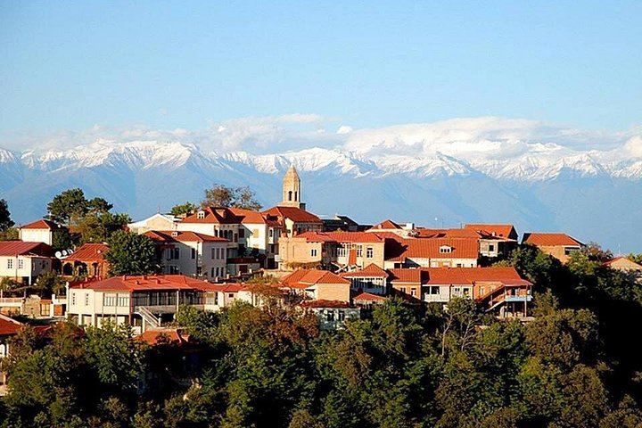 Fully Private Full-Day Kakheti Tour: Sighnaghi, Bodbe and Khareba Wine Tunnel (5/12)