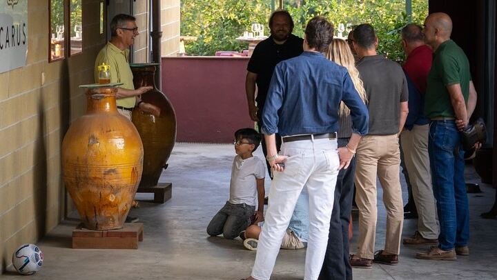 Carus Vini Organic Winery near San Casciano: Private Chianti Classico Tasting with Platter (3/12)