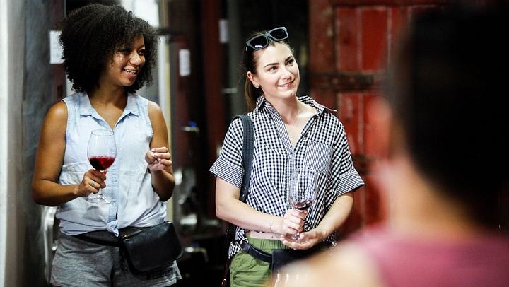 Quinta do Beijo Classic Wine Tasting and Cellar Tour with DOC Douro and Barrel Port (3/12)
