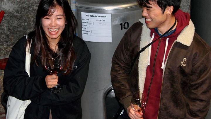Quinta do Beijo Classic Wine Tasting and Cellar Tour with DOC Douro and Barrel Port (2/12)