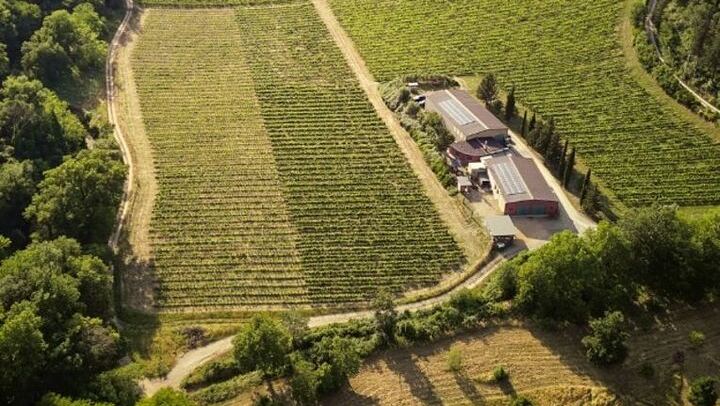 Carus Vini Organic Winery near San Casciano: Private Chianti Classico Tasting with Platter (2/12)