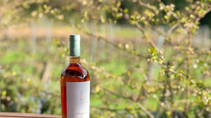 Carus Vini Organic Winery near San Casciano: Private Chianti Classico Tasting with Platter (1/12)