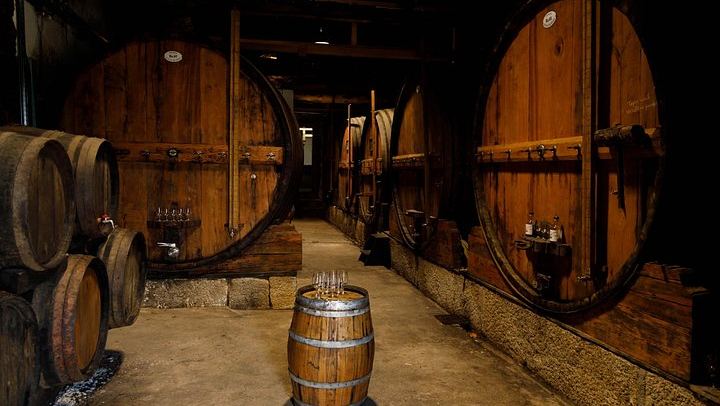 Quinta do Beijo Classic Wine Tasting and Cellar Tour with DOC Douro and Barrel Port (1/12)