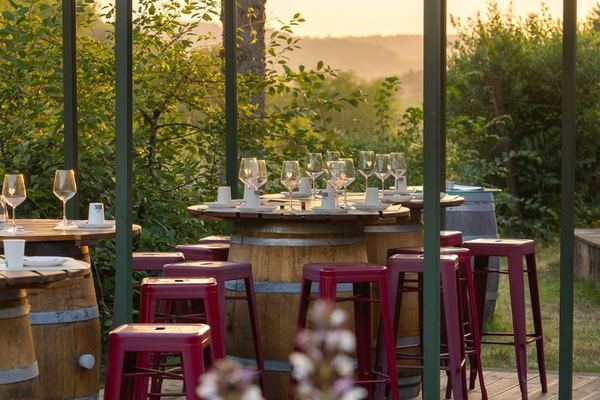 Carus Vini Organic Winery near San Casciano: Private Chianti Classico Tasting with Platter