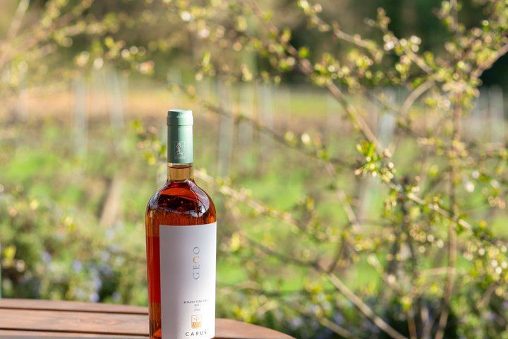 Carus Vini Organic Winery near San Casciano: Private Chianti Classico Tasting with Platter (1/12)