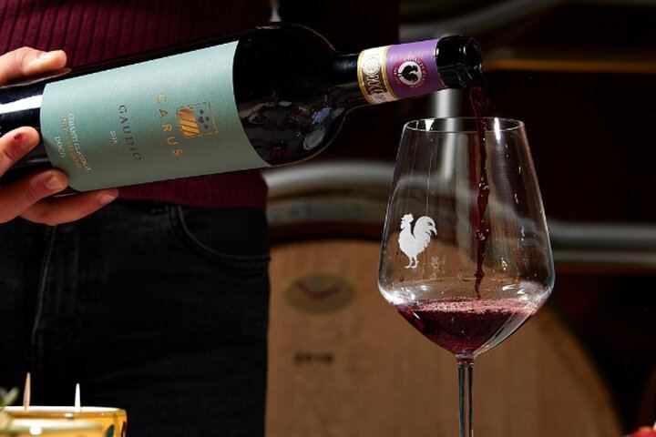 Carus Vini Organic Winery near San Casciano: Private Chianti Classico Tasting with Platter (5/12)