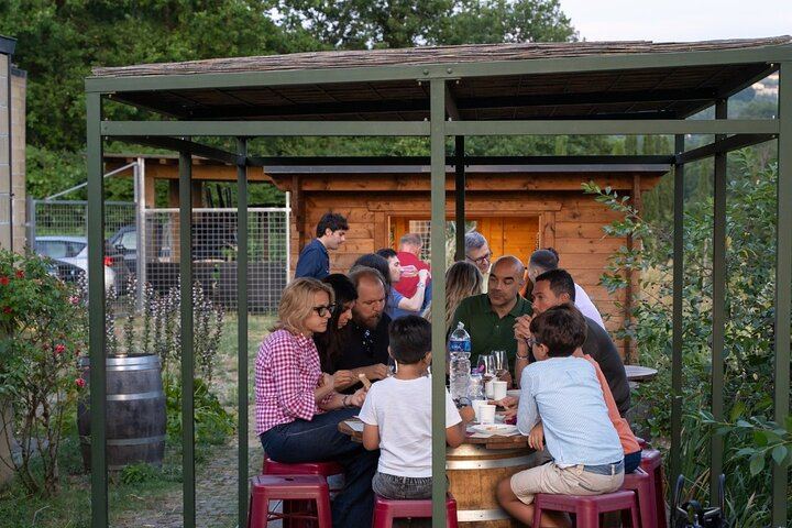 Carus Vini Organic Winery near San Casciano: Private Chianti Classico Tasting with Platter (7/12)