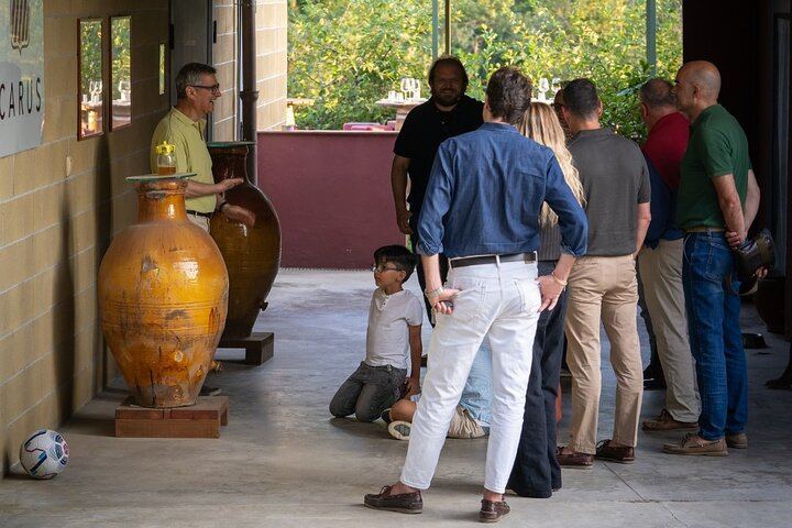 Carus Vini Organic Winery near San Casciano: Private Chianti Classico Tasting with Platter (3/12)