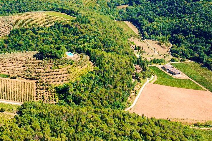 Carus Vini Organic Winery near San Casciano: Private Chianti Classico Tasting with Platter (8/12)