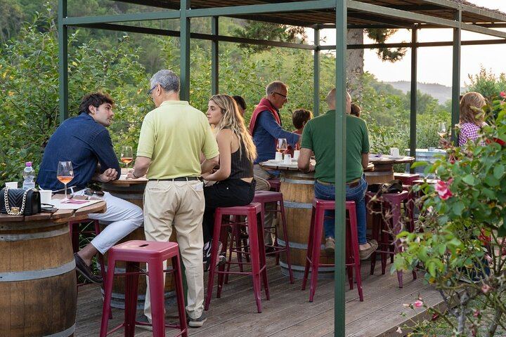 Carus Vini Organic Winery near San Casciano: Private Chianti Classico Tasting with Platter (11/12)