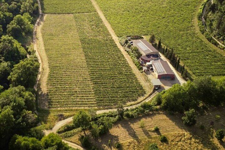 Carus Vini Organic Winery near San Casciano: Private Chianti Classico Tasting with Platter (2/12)