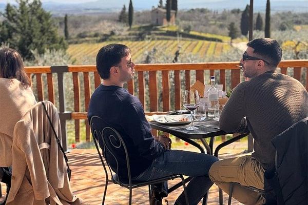 Wine Tasting on a Panoramic Terrace near Siena: Family Cellar and Tuscan Dishes