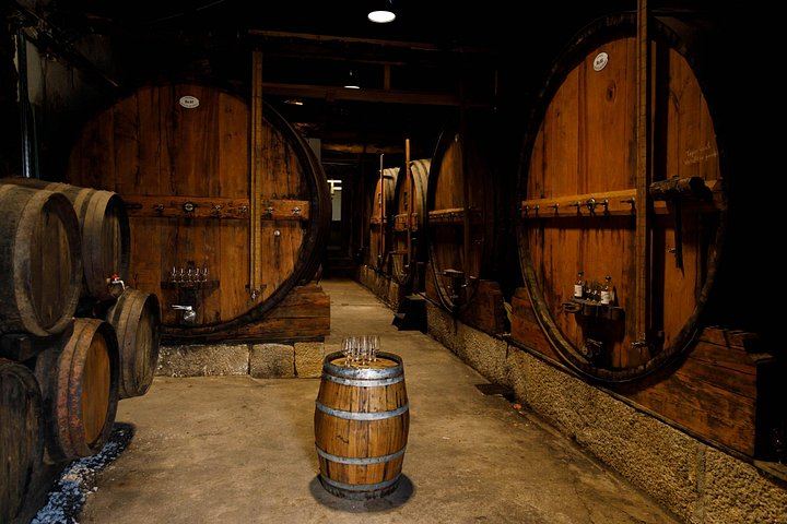 Quinta do Beijo Classic Wine Tasting and Cellar Tour with DOC Douro and Barrel Port (1/12)