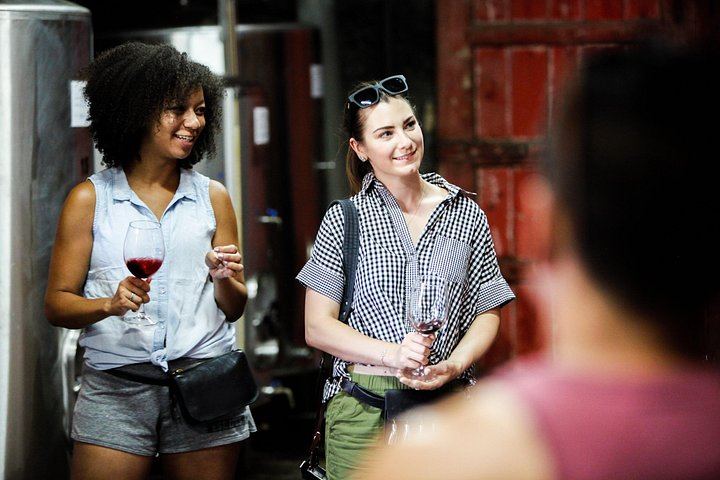 Quinta do Beijo Classic Wine Tasting and Cellar Tour with DOC Douro and Barrel Port (3/12)