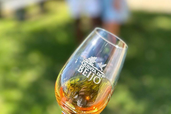 Quinta do Beijo Classic Wine Tasting and Cellar Tour with DOC Douro and Barrel Port (10/12)