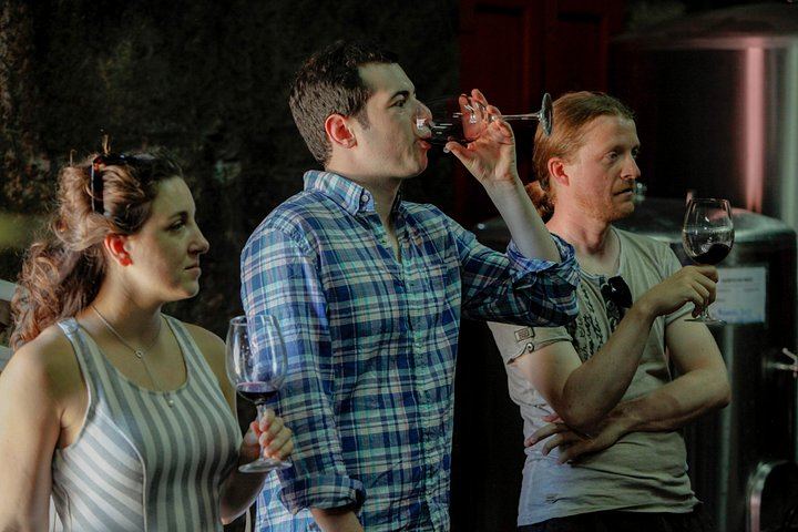 Quinta do Beijo Classic Wine Tasting and Cellar Tour with DOC Douro and Barrel Port (4/12)