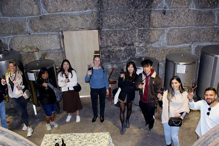 Quinta do Beijo Classic Wine Tasting and Cellar Tour with DOC Douro and Barrel Port (5/12)