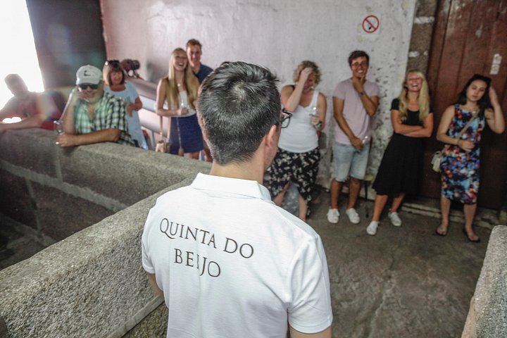 Quinta do Beijo Classic Wine Tasting and Cellar Tour with DOC Douro and Barrel Port (6/12)