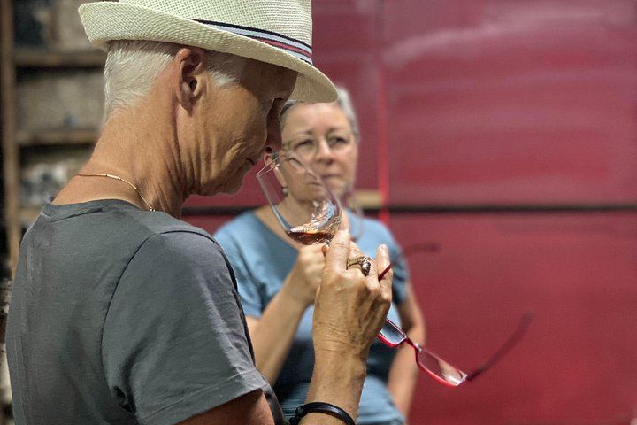 Quinta do Beijo Classic Wine Tasting and Cellar Tour with DOC Douro and Barrel Port (8/12)