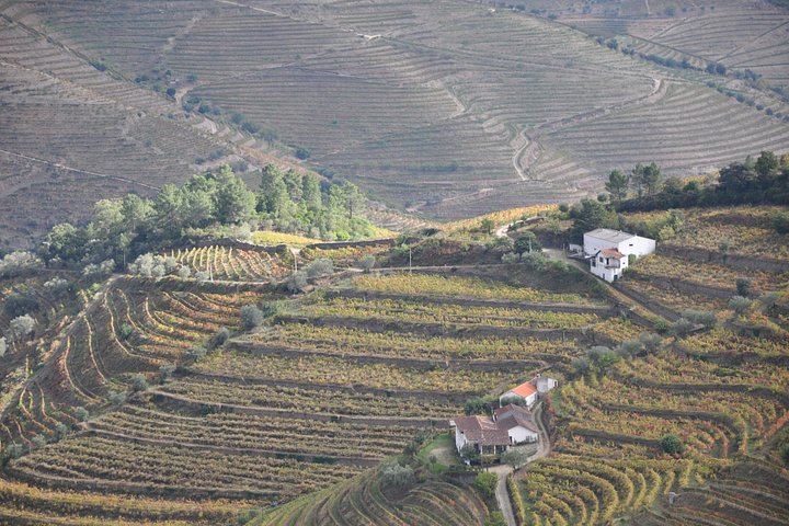 Quinta do Beijo Classic Wine Tasting and Cellar Tour with DOC Douro and Barrel Port (11/12)