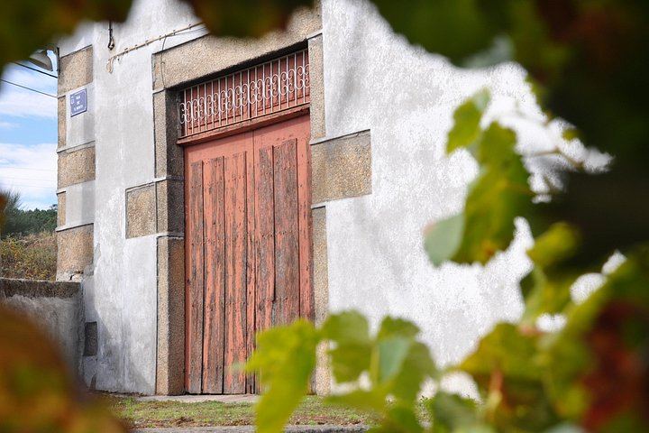 Quinta do Beijo Classic Wine Tasting and Cellar Tour with DOC Douro and Barrel Port (12/12)