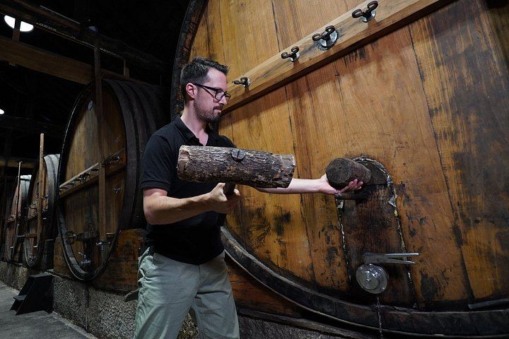 Quinta do Beijo Classic Wine Tasting and Cellar Tour with DOC Douro and Barrel Port (7/12)