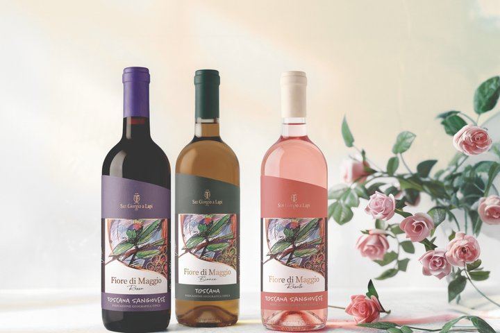 Wine Tasting on a Panoramic Terrace near Siena: Family Cellar and Tuscan Dishes (10/12)