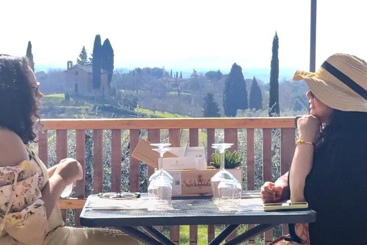Wine Tasting on a Panoramic Terrace near Siena: Family Cellar and Tuscan Dishes (7/12)