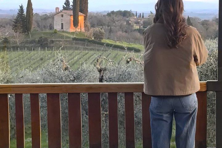 Wine Tasting on a Panoramic Terrace near Siena: Family Cellar and Tuscan Dishes (6/12)