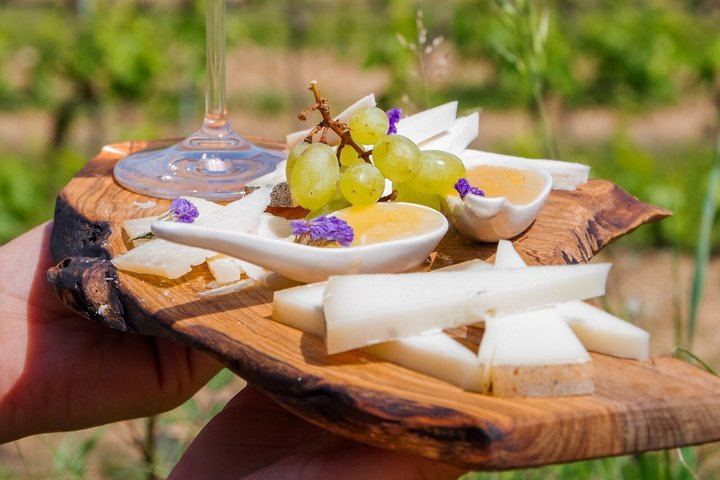 Wine Tasting on a Panoramic Terrace near Siena: Family Cellar and Tuscan Dishes (8/12)