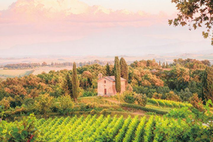 Wine Tasting on a Panoramic Terrace near Siena: Family Cellar and Tuscan Dishes (9/12)
