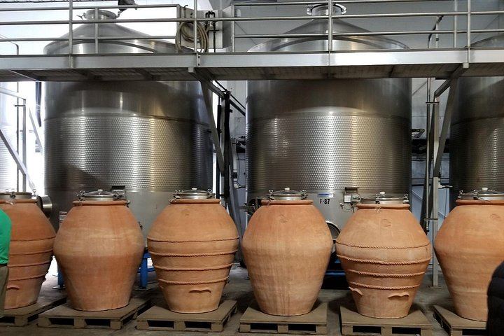 Half-Day Sonoma Wine Tour from San Francisco Hotels with Two Tastings and Sonoma Plaza (6/12)