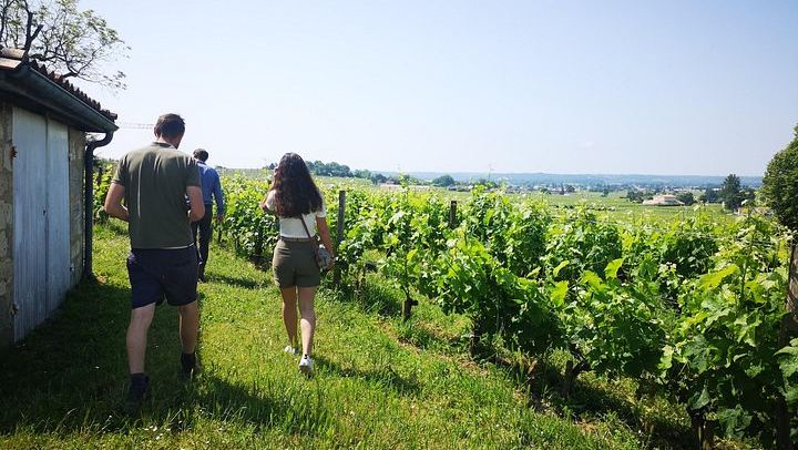 Private Full-Day Saint-Émilion Tour with Hotel Pickup, 3 Châteaux (1/10)