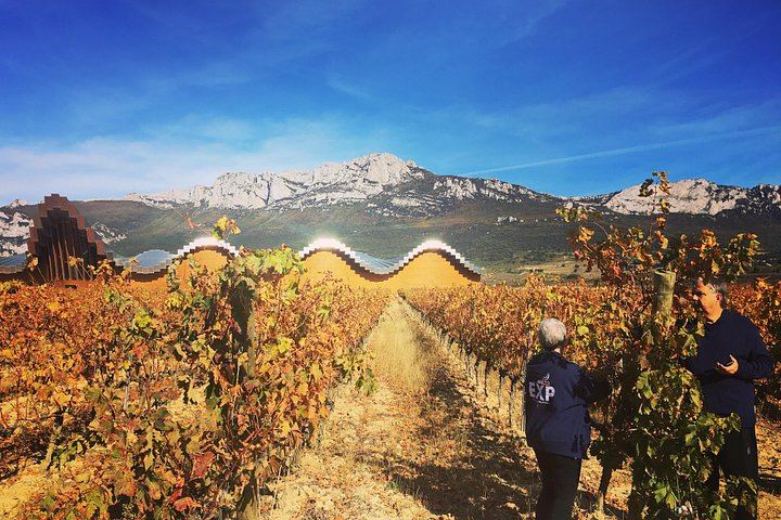 Semi-Private Rioja Day from Bilbao: Haro Cellar, Family Bodegas and Laguardia (5/10)