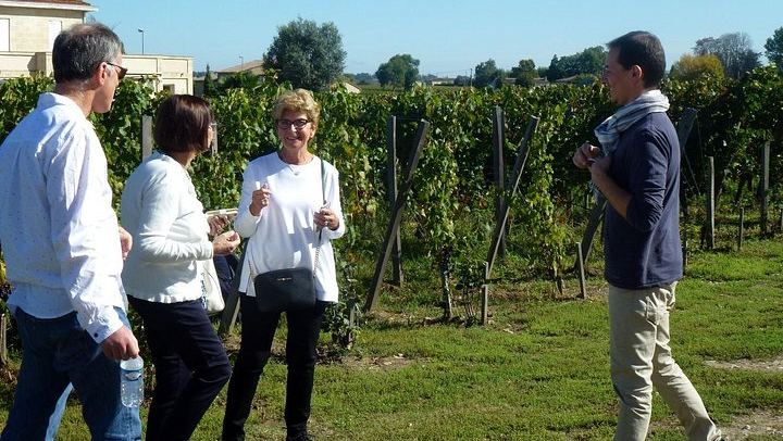 Full-Day Médoc Wine Tour from Bordeaux: Three Wineries, Classified Growths, 9:30am Start (3/10)