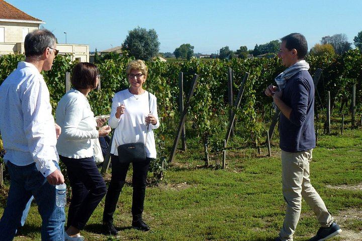 Full-Day Médoc Wine Tour from Bordeaux: Three Wineries, Classified Growths, 9:30am Start (3/10)