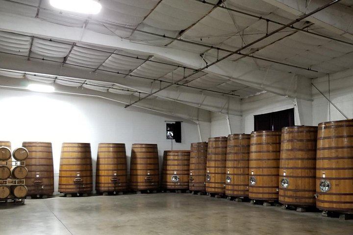 Half-Day Sonoma Wine Tour from San Francisco Hotels with Two Tastings and Sonoma Plaza (5/12)