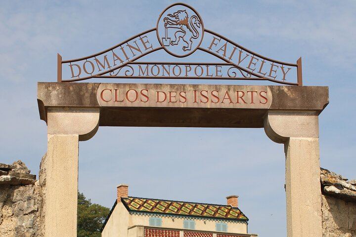 Private Côte d'Or Wine Tasting Tour Between Dijon and Beaune with Pickup (12/12)