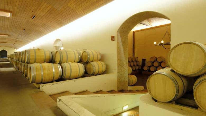 Concha y Toro Winery Tour from Santiago: Premium or Marqués de Casa Concha (1/3)