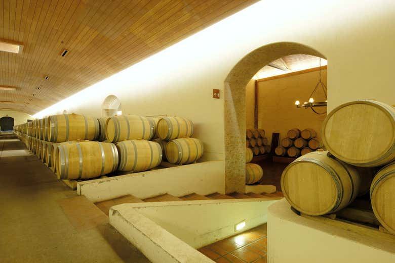 Concha y Toro Winery Tour from Santiago: Premium or Marqués de Casa Concha (1/3)