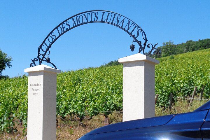 Private Côte d'Or Wine Tasting Tour Between Dijon and Beaune with Pickup (10/12)
