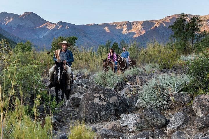 Private Horseback Wine Tour from Santiago: Organic Wine and Country Grill (7/12)