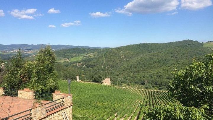 Small-Group Brunello and Montepulciano Wine Day from Cortona in a 9-Seat Minivan (2/12)
