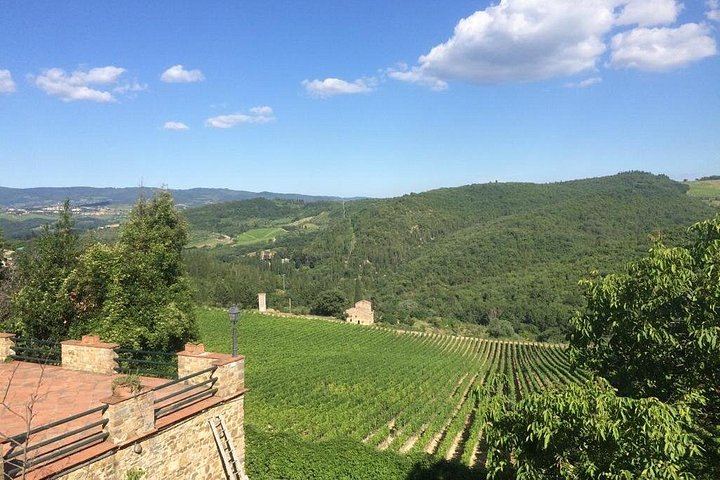Small-Group Brunello and Montepulciano Wine Day from Cortona in a 9-Seat Minivan (2/12)