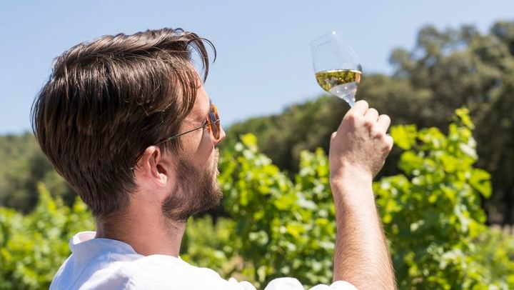 Half-Day Côtes de Provence Wine Tour from Aix-en-Provence, Two Traditional Wineries (1/9)